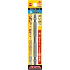 SUNFLAG サンフラッグ 六角ビット 両頭タイプ HEX5.0×110mm DSW-50110