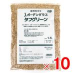 ka кошка вид рассада запад газонная трава. taneJ сад стакан жесткий зеленый 1.5L ×10 шт кейс распродажа CLB511