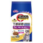 猫用ドライフード