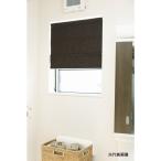  полный nes беспроводной затенитель от солнца s рычаг затемнение Brown 60×160cm L6174 [ производитель прямая поставка * оплата при получении не возможно *. распределение не возможно * рассылка регион ограничение ]