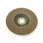 イチグチ パワフルディスク 100×15mm A #80 332561
