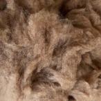 キャメル　整毛100g ＜紡毛 紡ぎ 染め 羊毛 フェルト＞