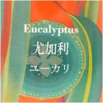  лампа bell je aroma масло 100ml эвкалипт [A1491]