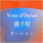  лампа bell je aroma масло 100ml пробный Ocean [A1417]