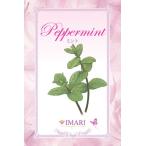  лампа bell je лампа тоже можно использовать aroma масло автомобиль rutie мята 100ml[A1119]