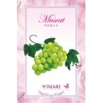  автомобиль ruti обвес ma масло 100ml[ мускат ][A1117]