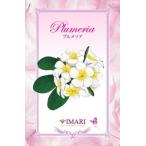  автомобиль ruti обвес ma масло 100ml[ плюмерия ][A1114]