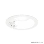 〔即納〕LEDダウンライト 昼白色 OD26