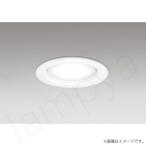 〔即納〕LEDダウンライト 昼白色 OD36