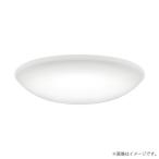 〔即納〕LEDシーリングライト 12畳 OL