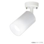 〔即納〕LEDスポットライト 昼白色 O