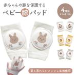  baby колени накладка колени данный . лето рекомендация сетка губка вышивка ....... еж симпатичный колено накладка колено .. колено накладка отметка использование . покупка 