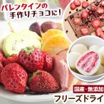 フリーズドライ フルーツミックス 国産 無添加 砂糖不使用 子供 おやつ プチギフト お菓子作り いちじく いちご メロン みかん シャインマスカット 巨峰 桃