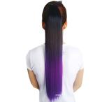 Yahoo! Yahoo!ショッピング(ヤフー ショッピング)LESUN ポニーテールウィッグ つけ毛 ツートン ロング ストレート グラデーションカラーエクステ 取り付け簡単 つけ毛 エクステンションヘアカラー