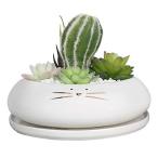 サボテン鉢 多肉植物鉢 陶器鉢 植木鉢 陶器 底穴付き シンプルデザイン フラワーポット 植物なし 植物なし 白 楕円 誕生日 キッチン カウンター
