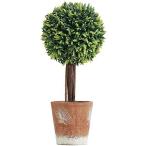 Yahoo! Yahoo!ショッピング(ヤフー ショッピング)【 観葉植物 ミニ 鉢植え 】AVESSO フェイクグリーン 人工観葉植物 光触媒 インテリア 小さい 観葉 植物 おしゃれ 雑貨 人工 陶器 鉢 白