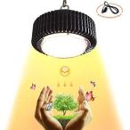 ZSHONORLIGH 植物育成ライトLED 100W太陽のようなフルスペクトルは屋内植物のためのラ ...