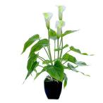 Yahoo! Yahoo!ショッピング(ヤフー ショッピング)[RADISSY] 観葉植物 フェイク グリーン バスケット 付き 壁掛け 飾り インテリア （ホワイト&グリーン）