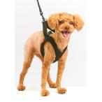 ani полный (anifull)anisapo - - rest черный L размер 