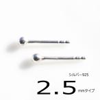 シルバーピアス スタッドピアス 丸玉 シャカ球 2.5mm シルバーボール シンプル 一粒ピアス シルバー925 mens 母の日 ブロガー プチ 送料無料