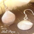 Yahoo! Yahoo!ショッピング(ヤフー ショッピング)シルバーピアス フックピアス 貝殻 シェル 貝 シルバー925