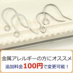 [ детали одиночный товар покупка .OK ] металл аллергия. person . рекомендация titanium крюк полимер крюк дополнение плата 100 иен mens