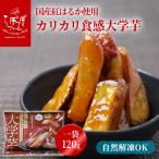 ra...ka licca li еда чувство университет клубень (5 пакет комплект )