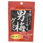 ノーベル 男梅グミ お菓子 38g