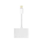 iPhone iPad SD устройство для считывания карт 4in1 USB подключение Lightning данные пересылка фотография резервная копия SD карта TF карта USB память ((S