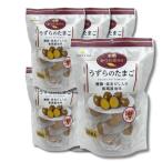 6個セット カネセイ食品 うずらのたまご 醤油味 20個 味付け うずらの卵 おつまみ お弁当 お土産