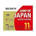 ソニーSONY ビデオ用ブルーレイディスク (11枚パック)11BNE3VZPS2 (BE-RE  3層 2倍速 100GB)