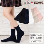5�{�w�\�b�N�X �N���[ 20-22cm 22-24cm 24-26cm 26-28cm 28-30cm �R�ۖh�L 10013 �x�[�V�b�N ���f�B�[�X �L�b�Y �����Y �ܖ{�w �C�� �X�N�[�� �r�W�l�X �q��