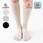 5�{�w �n�C�\�b�N�X 22-24cm 24-26cm 80854 �⊴ �ɔ����n �i�K�����݌v ���f�B�[�X �����Y �ܖ{�w �C�� ���{�� LASANTE