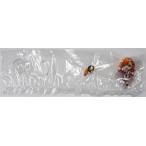 ショッピングねんどろいどぷち ねんどろいどぷち ラブライブ それは僕たちの奇跡Ver. 高坂穂乃果 フィギュアグッドスマイルカンパニー