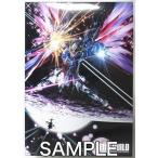 METAL BUILD 機動戦士ガンダムSEED DESTINY デスティニーガンダム(フルパッケージ) 魂ウェブ商店限定 フィギュアバンダイ GUN