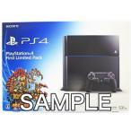 ショッピングPlayStation PlayStation 4 First Limited Pack