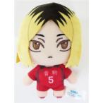  Sega Lucky жребий Haikyu!! Pastel Art Collection B. мягкая игрушка эмблема . коготь полировка 