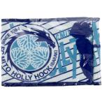 未開封ガールズ&パンツァー 水戸ホーリーホック×