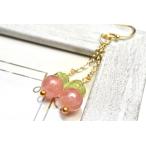 高品質アルゼンチン産インカローズ×...