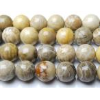 10mm「フォッシルコーラル」 １連（約38cm） _LR7-10 ★5000円以上ネコポス送料無料！