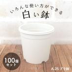  различный способ применения возможно белый горшок A-25 2.5 номер горшок 100 шт. комплект цветочный горшок суккулентное растение интерьер pra горшок пластик стиль a25