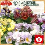 【数量限定】2026新春福袋 送料無料 