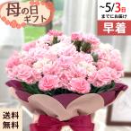 ◆早割◆【GWにお届け！早着】【直接渡せる】母の日 ギフト カーネーション ホッピングピンク 5号鉢 鉢花 プレゼント 送料無料