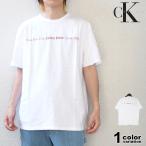 カルバン クライン Tシャツ 半袖 CALVIN KLEIN メンズ トップス ロゴプリント USモデル 2025 新作