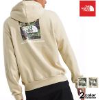 希少 THE NORTH FACE ザ ノースフェイス パーカー スウェット プルオーバー バックプリント 裏起毛 メンズ トップス