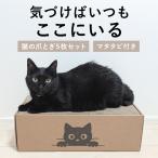 猫 爪とぎ 段ボール 爪研ぎベッド 5枚入り 両面 長持ち 大型猫対応 多頭飼い マタタビ付き 削りカス飛び散らない