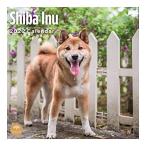 2022 Shiba Inu Wall Calendar by Bright Day， 12 x 12 Inch， Cute Dog Puppy