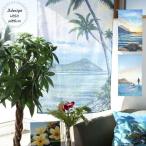 パーテーション のれん おしゃれ ロング丈 間仕切り 85×150 ハワイアン 玄関 キッチン バスルーム 目隠し ホヌ サーフ