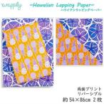  упаковка бумага lapi Lee Гаваи дизайн бумажное моделирование бумага оберточная бумага упаковка сопутствующие товары бумага Hawaiian воспроизведение бумага искусство подарок подарок за границей тропический 