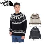 ザ・ノース・フェイス（THE NORTH FACE）（メンズ、レディース）ハーフ ドーム ノルディック セーター NT92430